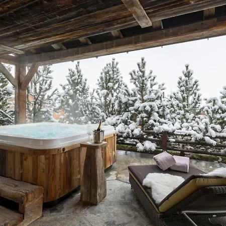 Heights Opulent Escape Amidst Alps Apartment